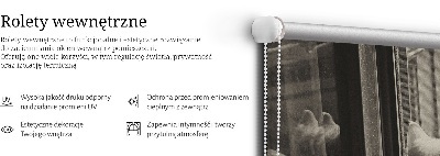 Store intérieur Des chats à la fenêtre