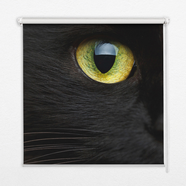 Store enrouleur Yeux de chat