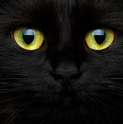 Store enrouleur Yeux de chat