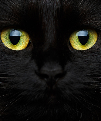 Store enrouleur Yeux de chat