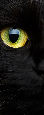 Store enrouleur Yeux de chat
