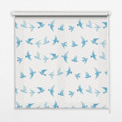 Store intérieur Oiseaux bleus