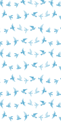 Store intérieur Oiseaux bleus