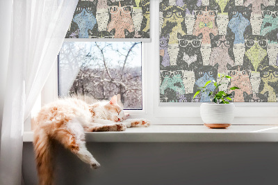 Store intérieur Chats