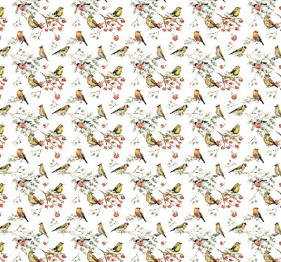 Store intérieur Oiseaux sur les branches