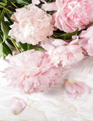 Store enrouleur Fleurs