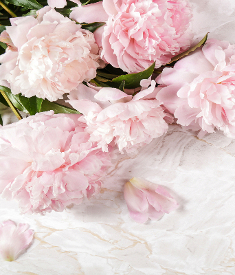 Store enrouleur Fleurs