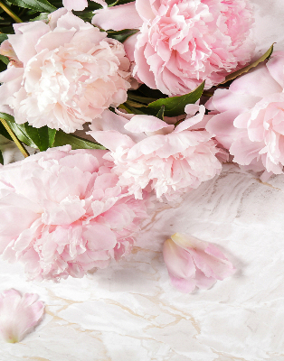 Store enrouleur Fleurs