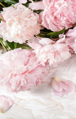 Store enrouleur Fleurs