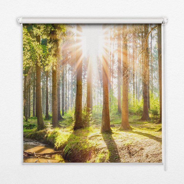 Store enrouleur Le soleil brille à travers les arbres