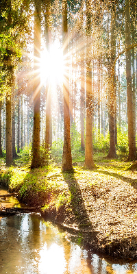 Store enrouleur Le soleil brille à travers les arbres