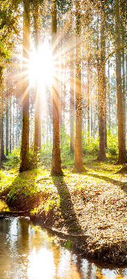 Store enrouleur Le soleil brille à travers les arbres