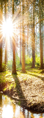 Store enrouleur Le soleil brille à travers les arbres