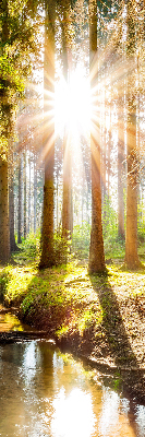 Store enrouleur Le soleil brille à travers les arbres