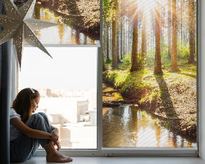 Store enrouleur Le soleil brille à travers les arbres