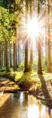 Store enrouleur Le soleil brille à travers les arbres