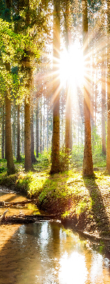 Store enrouleur Le soleil brille à travers les arbres