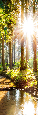 Store enrouleur Le soleil brille à travers les arbres