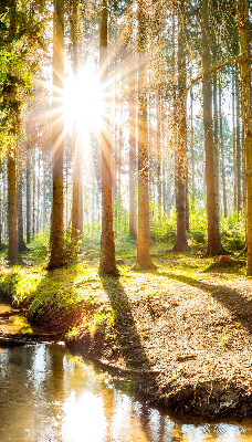 Store enrouleur Le soleil brille à travers les arbres