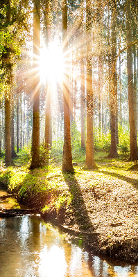 Store enrouleur Le soleil brille à travers les arbres