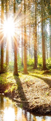 Store enrouleur Le soleil brille à travers les arbres