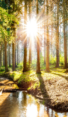 Store enrouleur Le soleil brille à travers les arbres