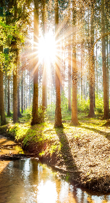 Store enrouleur Le soleil brille à travers les arbres