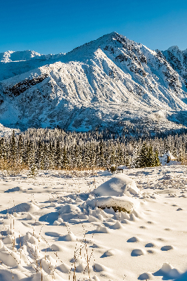 Store intérieur Montagnes