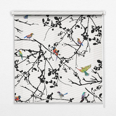 Store intérieur Oiseaux sur les branches