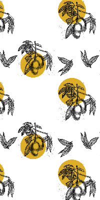 Store intérieur Fruits et cercles jaunes