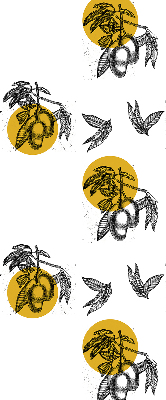 Store intérieur Fruits et cercles jaunes