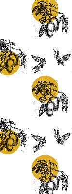 Store intérieur Fruits et cercles jaunes