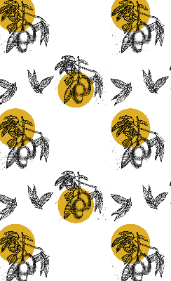 Store intérieur Fruits et cercles jaunes