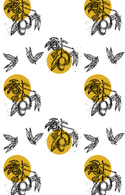 Store intérieur Fruits et cercles jaunes