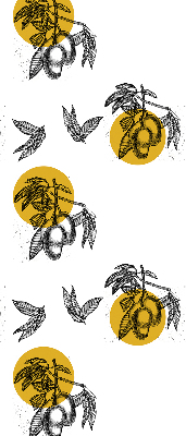 Store intérieur Fruits et cercles jaunes