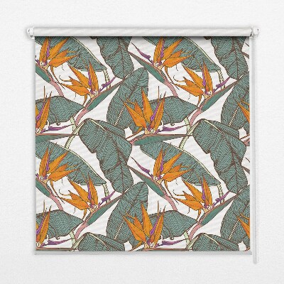 Store intérieur Feuilles vertes