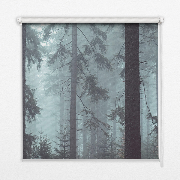 Store intérieur Forêt la nuit