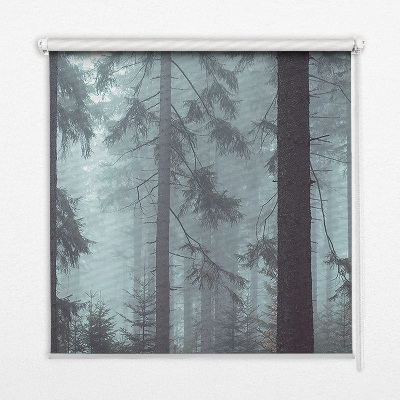 Store intérieur Forêt la nuit