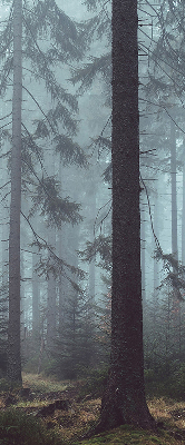 Store intérieur Forêt la nuit