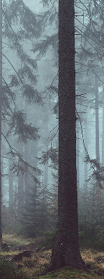 Store intérieur Forêt la nuit