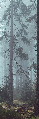 Store intérieur Forêt la nuit