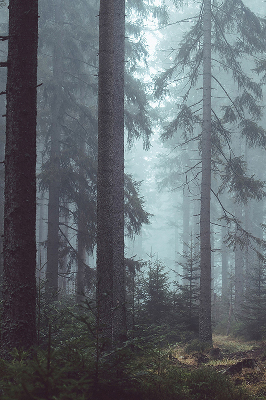 Store intérieur Forêt la nuit