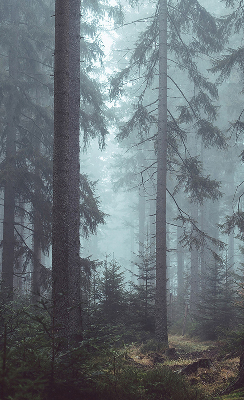Store intérieur Forêt la nuit