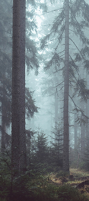 Store intérieur Forêt la nuit