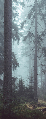 Store intérieur Forêt la nuit