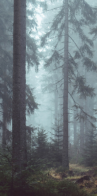 Store intérieur Forêt la nuit