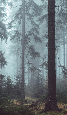 Store intérieur Forêt la nuit