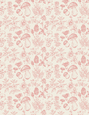 Store intérieur Champignons dessinés