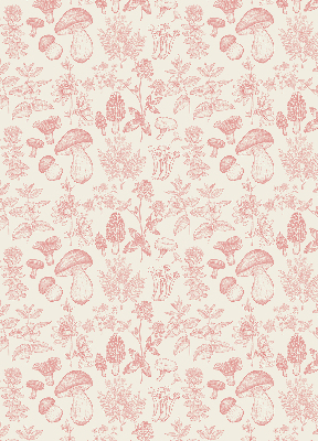 Store intérieur Champignons dessinés