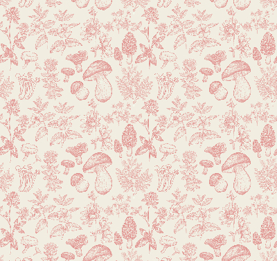 Store intérieur Champignons dessinés